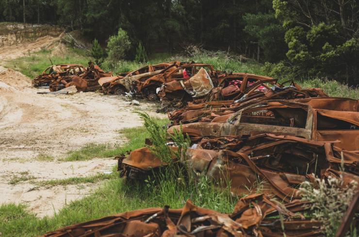 Image of rubbish dumped illegally in a pine plantation near Maryvale.