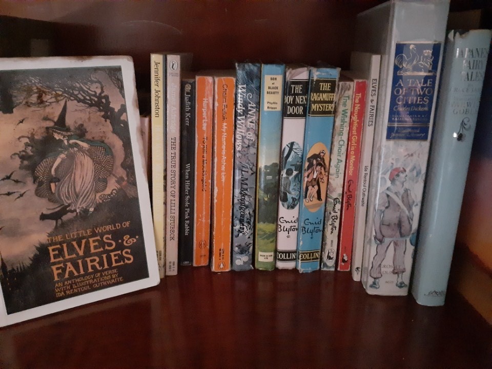 Louise's book shelf