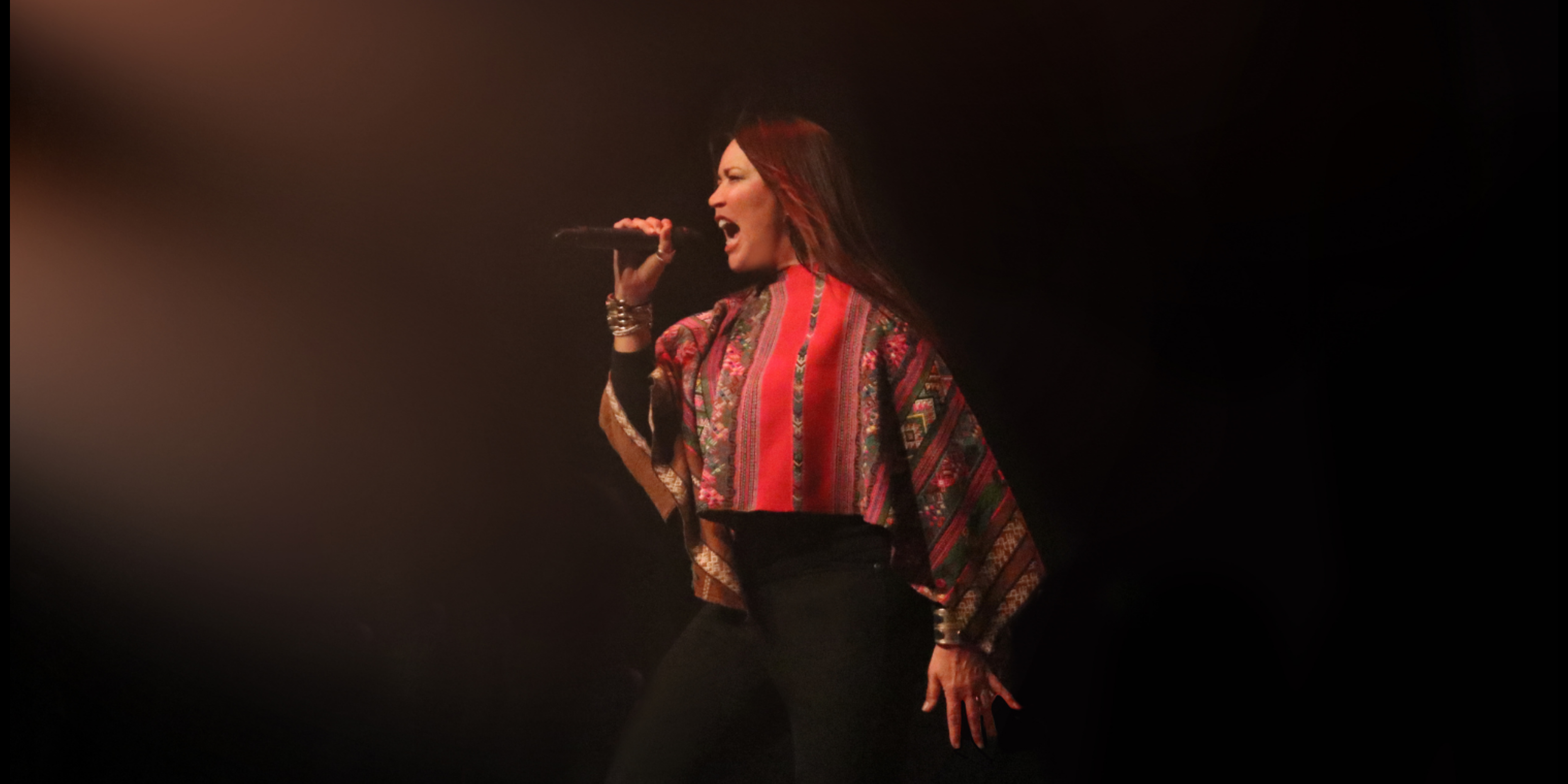 Toni Childs - A Retrospective Banner 