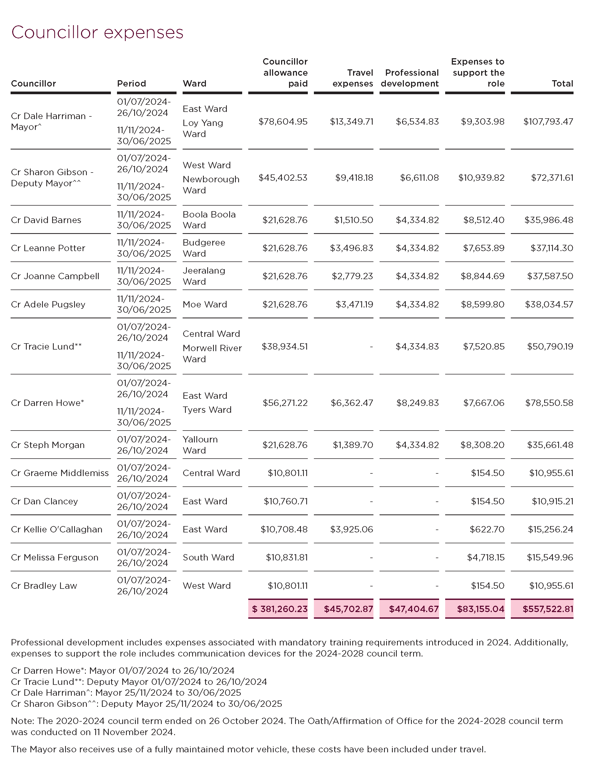 Councillor Expenses 2025-26 (3)