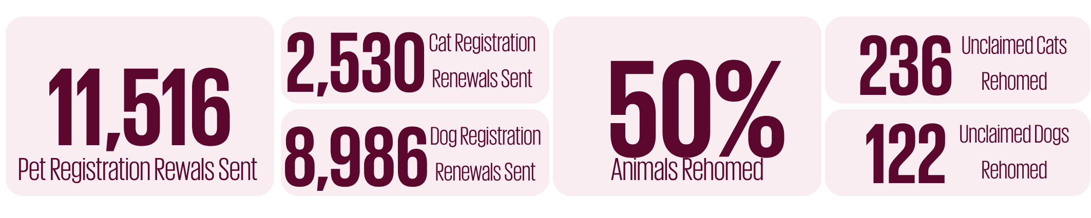 Pet Registration 