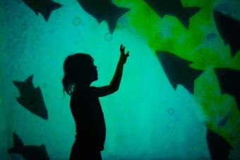Shadow Puppets Playing with Light web banner