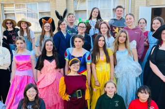 Ogres are like Onions Banner 