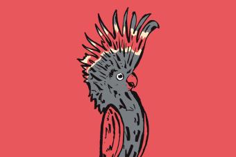 MICF Roadshow Banner 