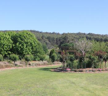 Garden Competition