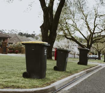 Bins