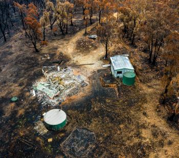 bushfire