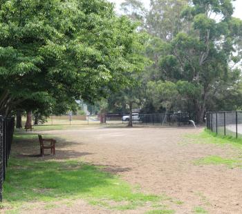 Dog Park 2