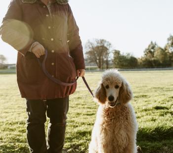 Owner and Dog