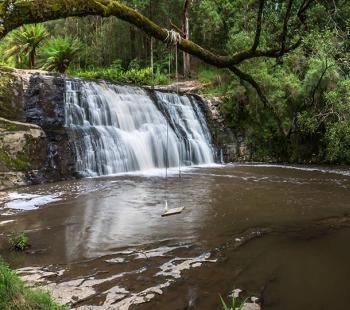 Morwell River Falls is a lovely place to visit all year round