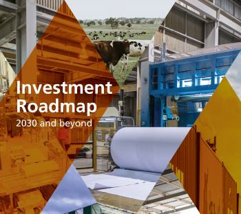 Investment Roadmap