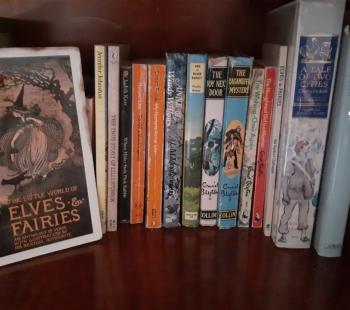 Louise's book shelf