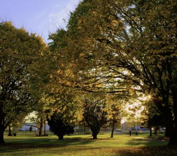 Victory park