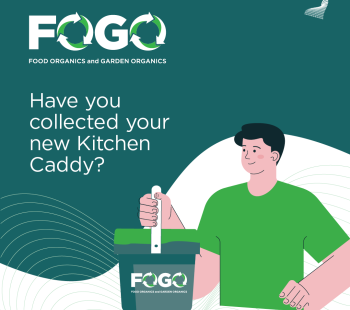 FOGO
