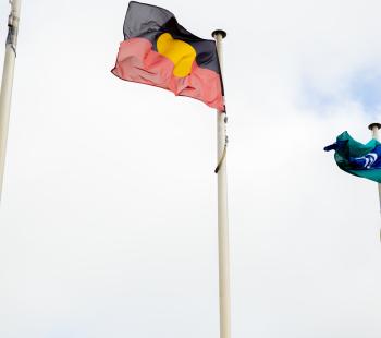 indigenous