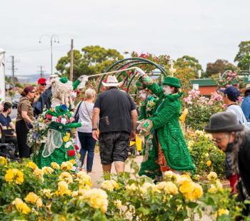 rose garden