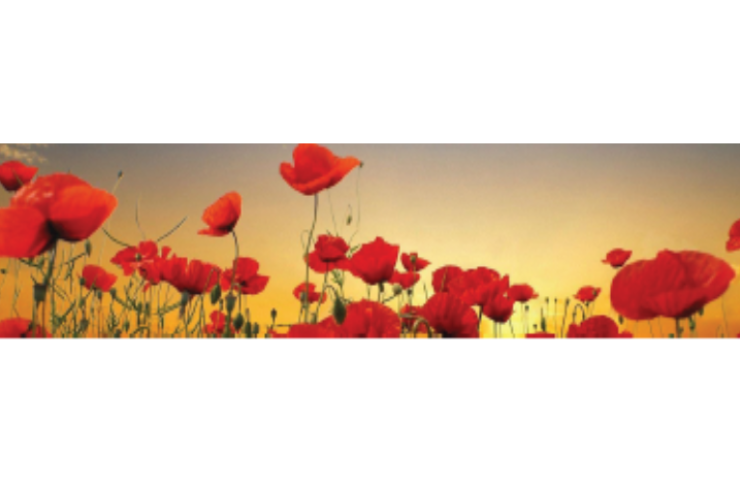 Anzac2