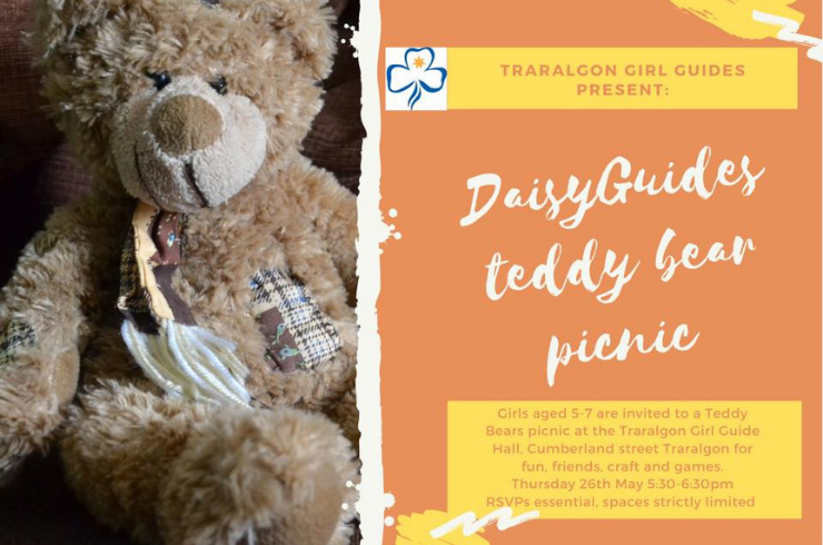 girl guides teddy bear picnic