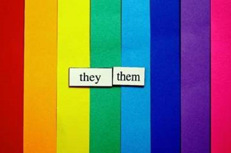 Rainbow flag image showing the film title 'they them'.