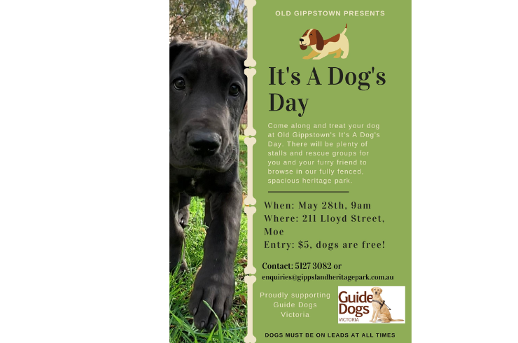 Dogs hotsell online vic