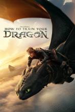 How to Train your dragon Film Poster - Summer Night Movies 2025/26