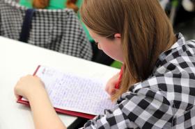 Young writer at desk