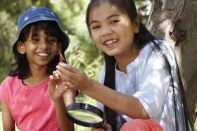 junior ranger bush detective Morwell National Park