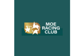 Moe Racing Club Image