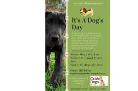 Its a dog day