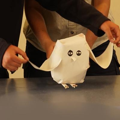 owl