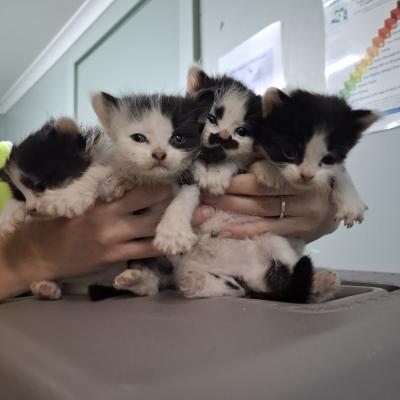 21015_21016_21017_21018